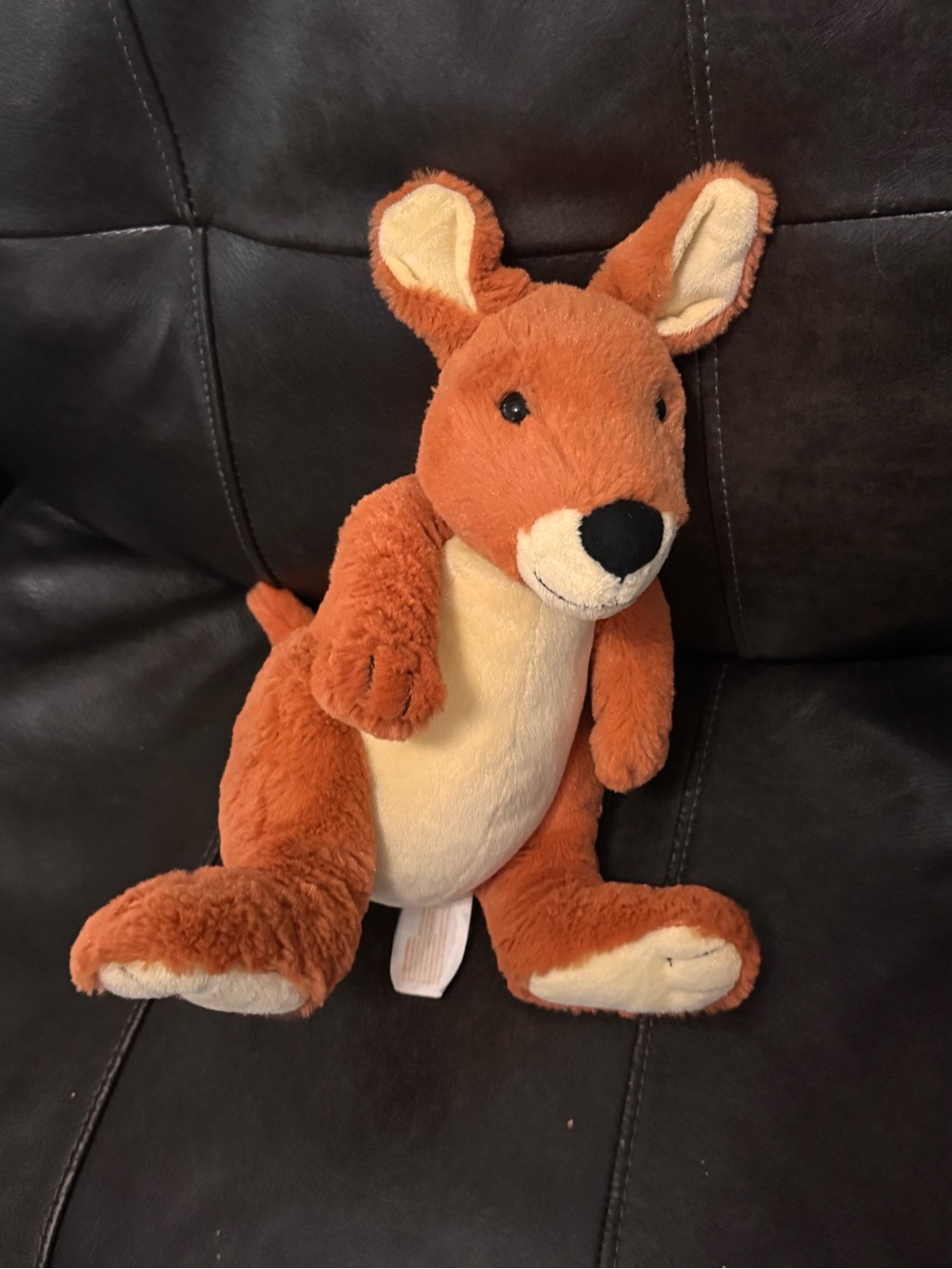 Kohls Cares The World Of Eric Carle Kangaroo Plush 10” Stuffed Animal
